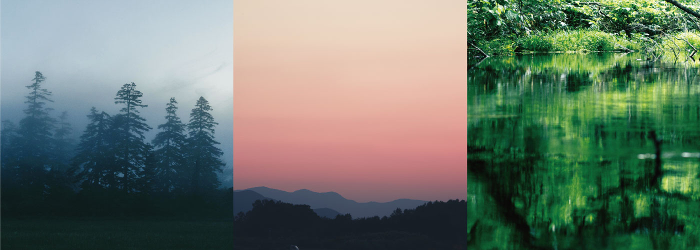 ルピシアブルワリー：ラインアップ